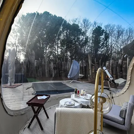 Bubble Experience - Bolla Savio Ravenna *