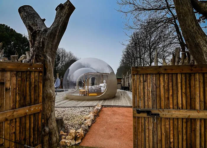 Luxury tent Bubble Experience - Bolla Savio Ravenna